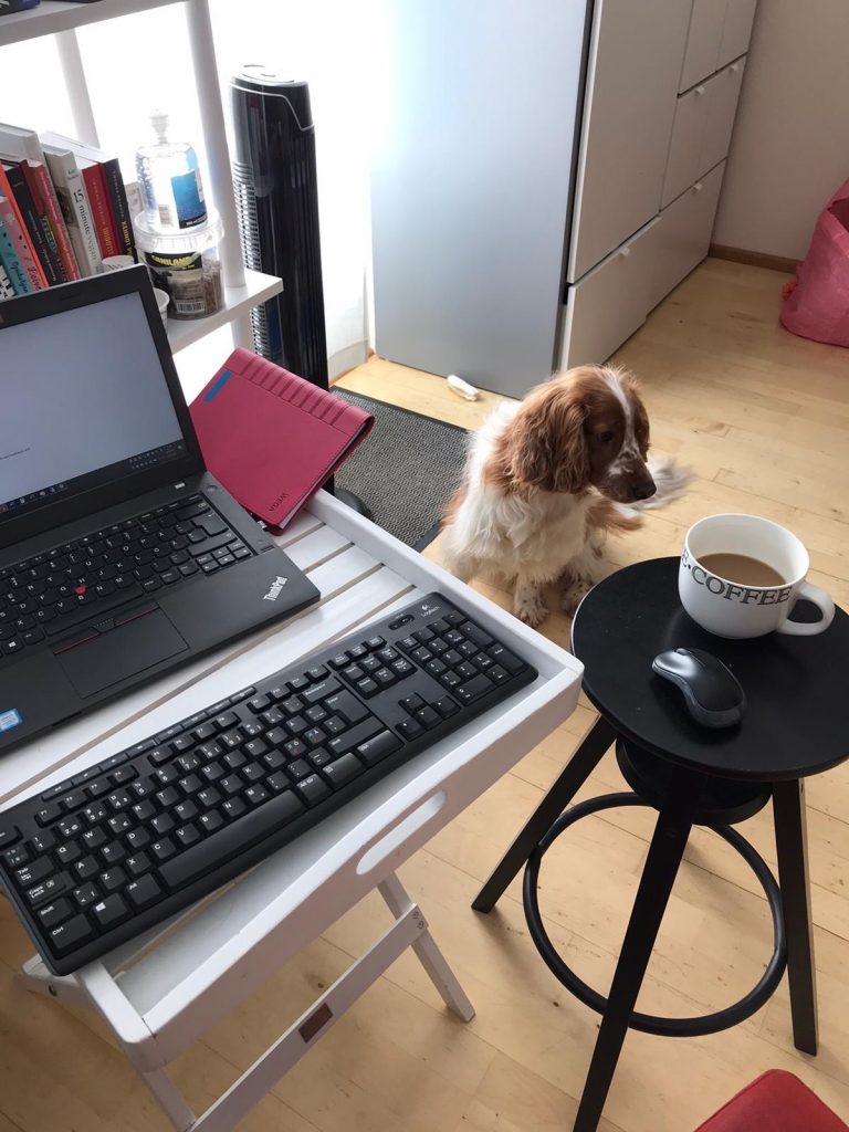 Erja has a top notch ergonomic setup. Suomi style. Doggo is assisting.