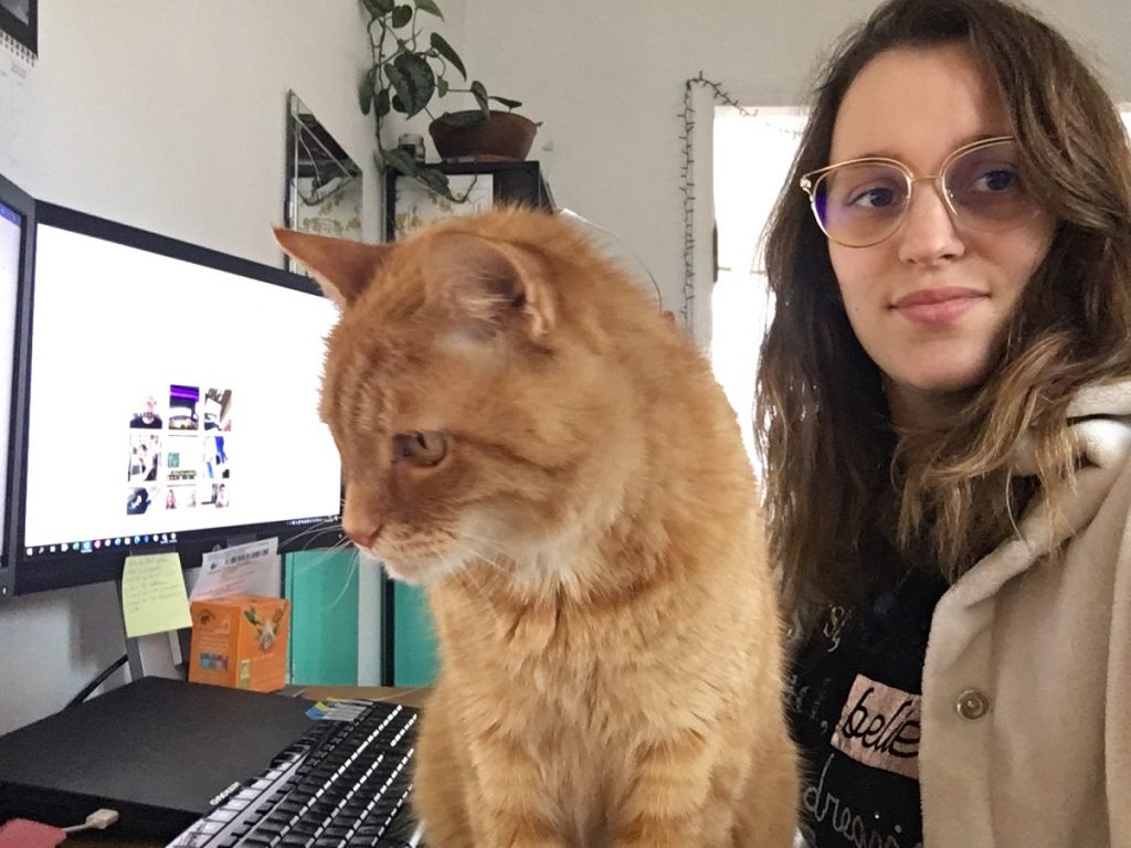 Alice's cat doesn't understand why she is more interested in screens than cats.